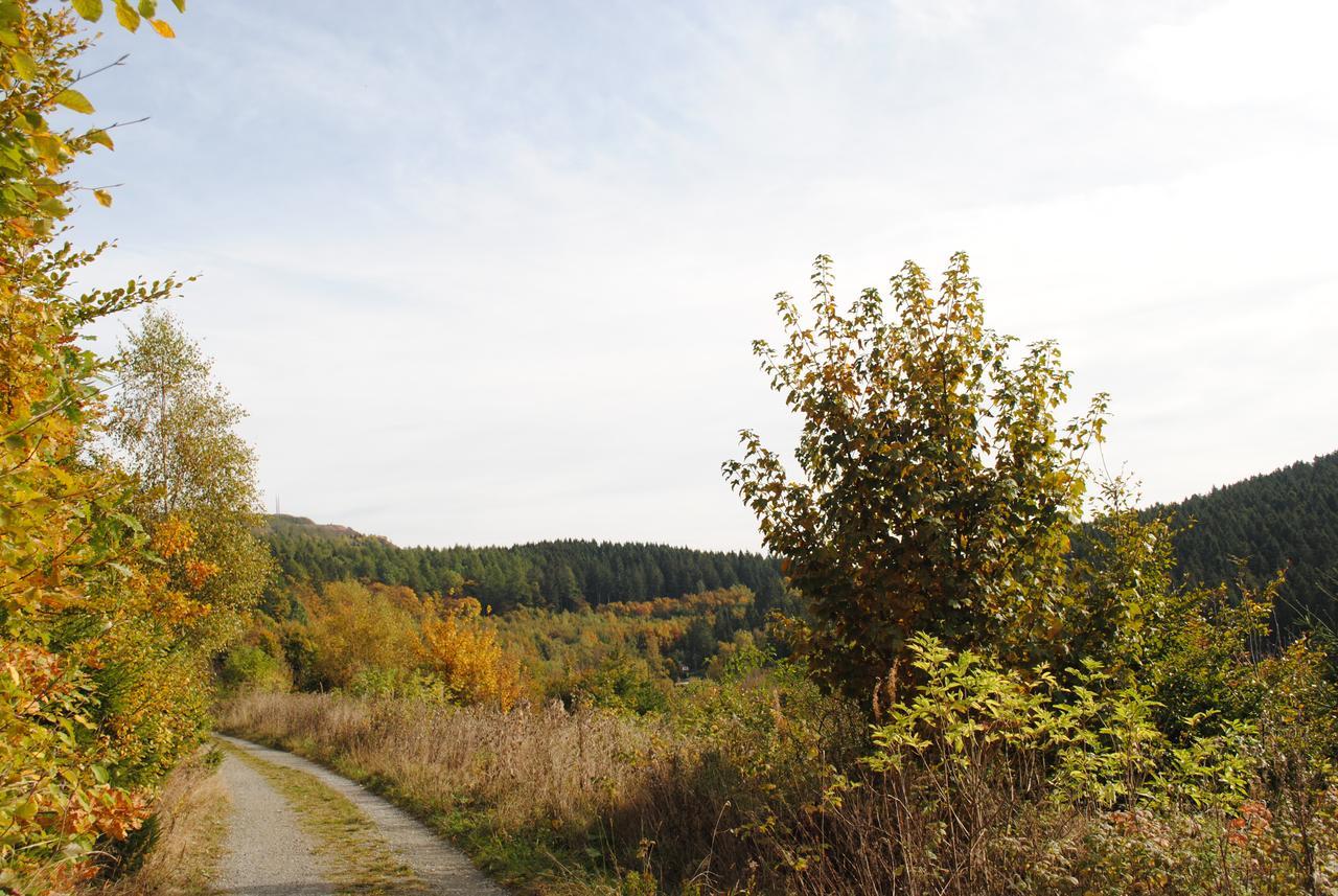 Landgasthof Gruss Брилон Экстерьер фото